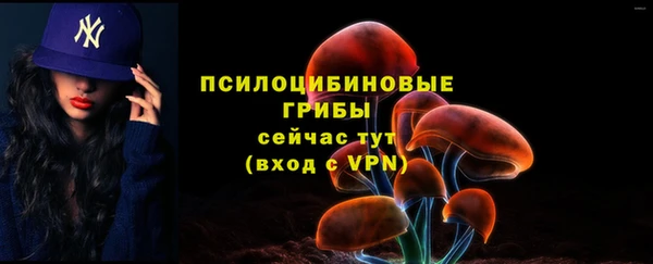 2c-b Аркадак