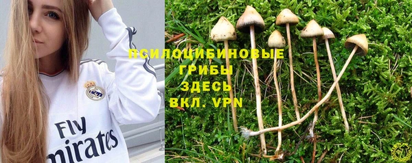 бутират Арсеньев